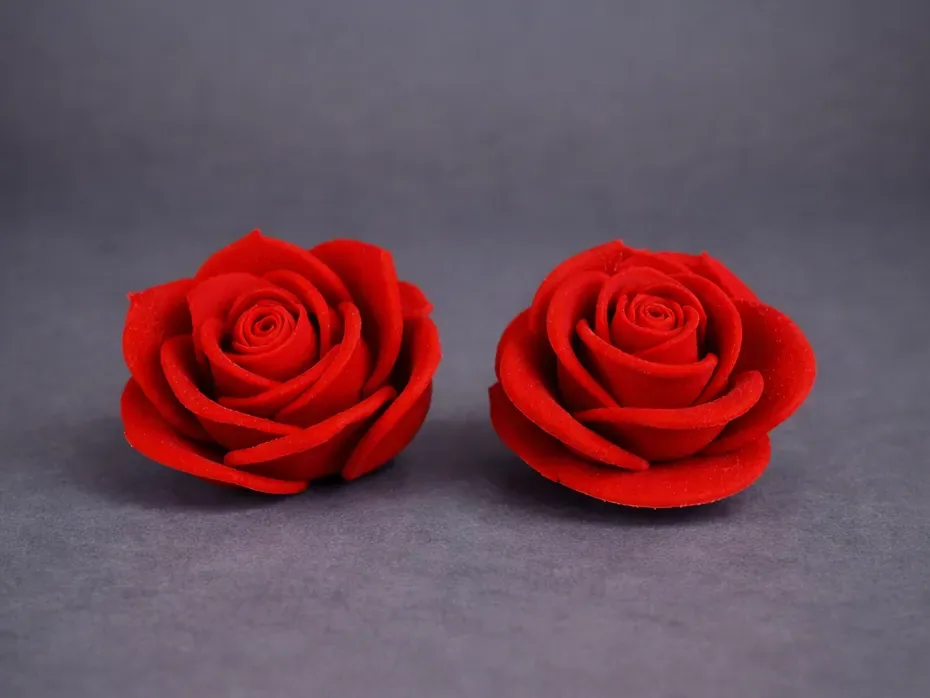 Rosa de San Valentín, vista 1