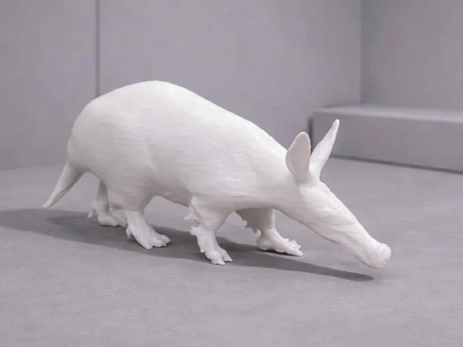 Oso Hormiguero - Animal, vista 1