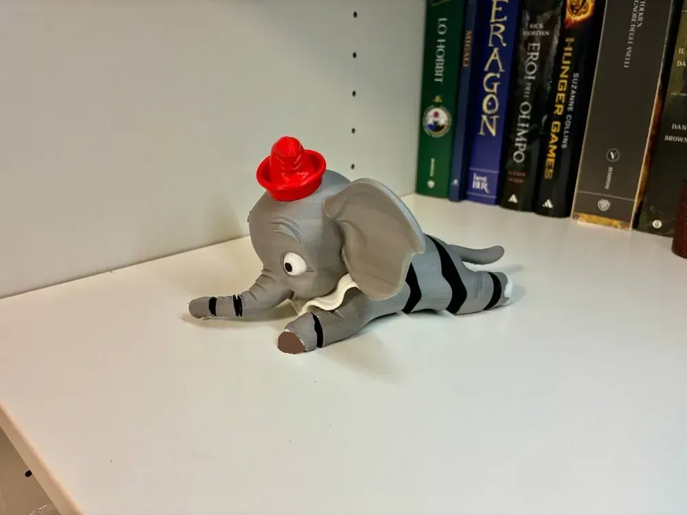Dumbo Flexi, vista 2
