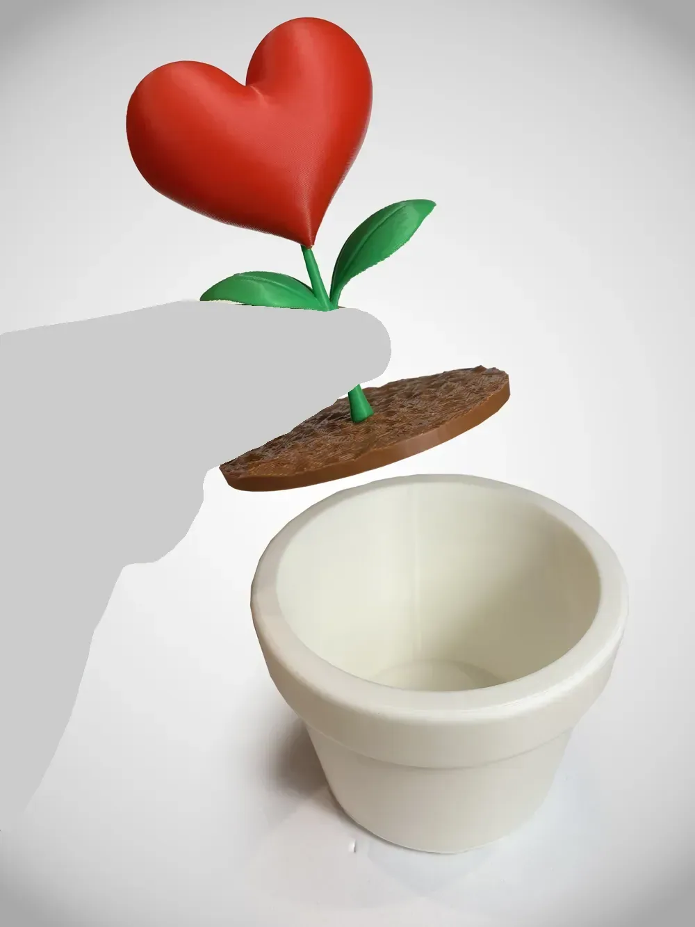 Love Sprout: una sorpresa escondida para tu San Valentín, vista 3