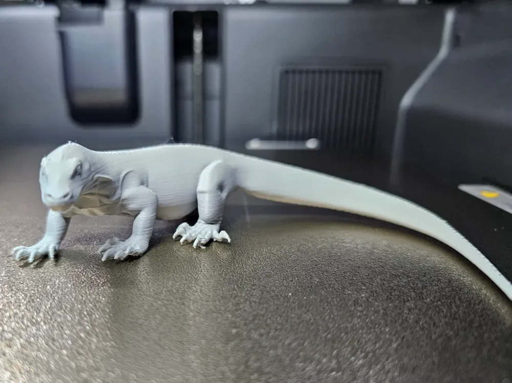 Dragón de Komodo 2 - Animales de todo el mundo, vista 1