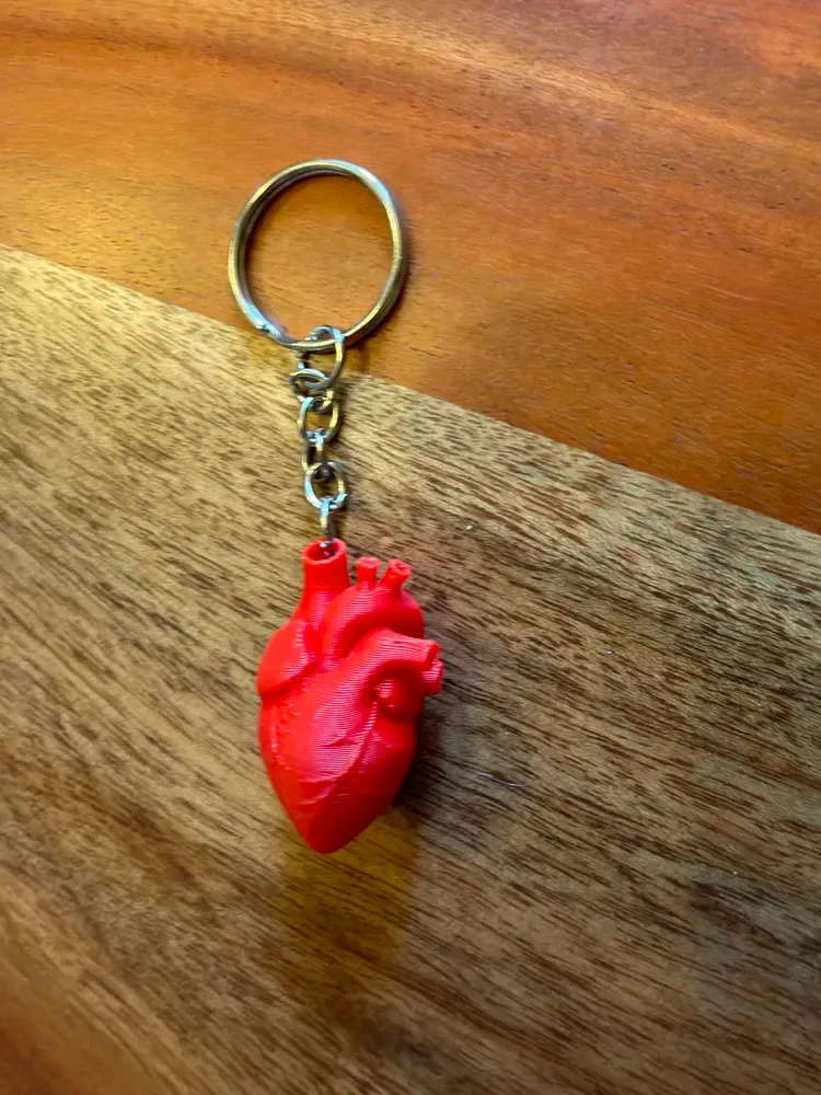 Corazón Anatómico - Llavero, vista 2