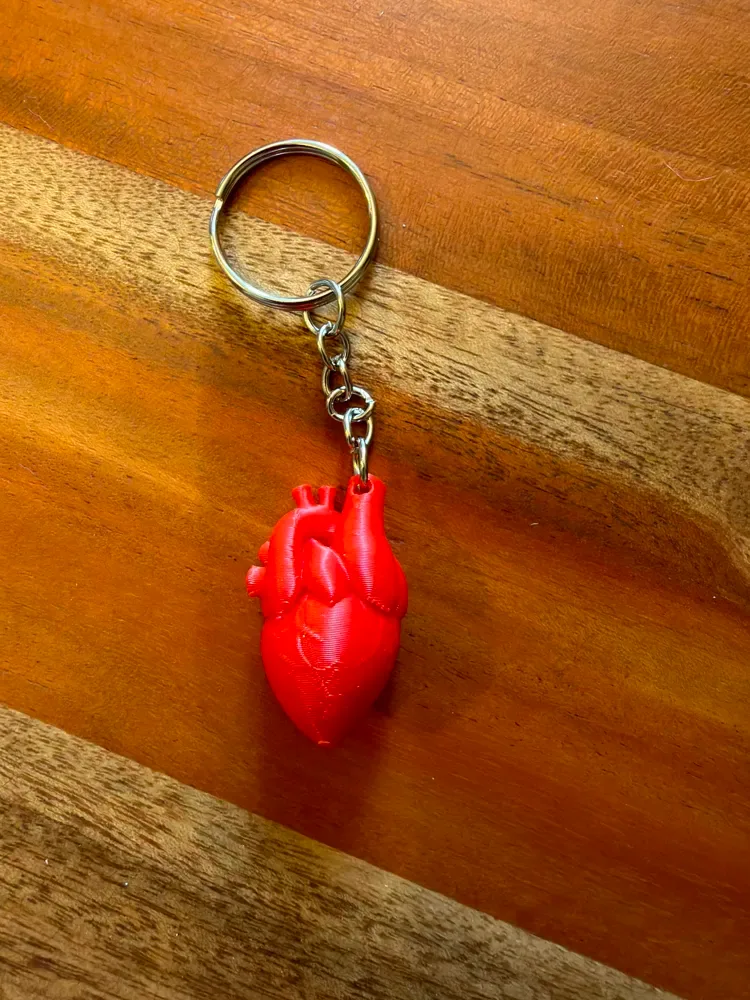 Corazón Anatómico - Llavero, vista 3