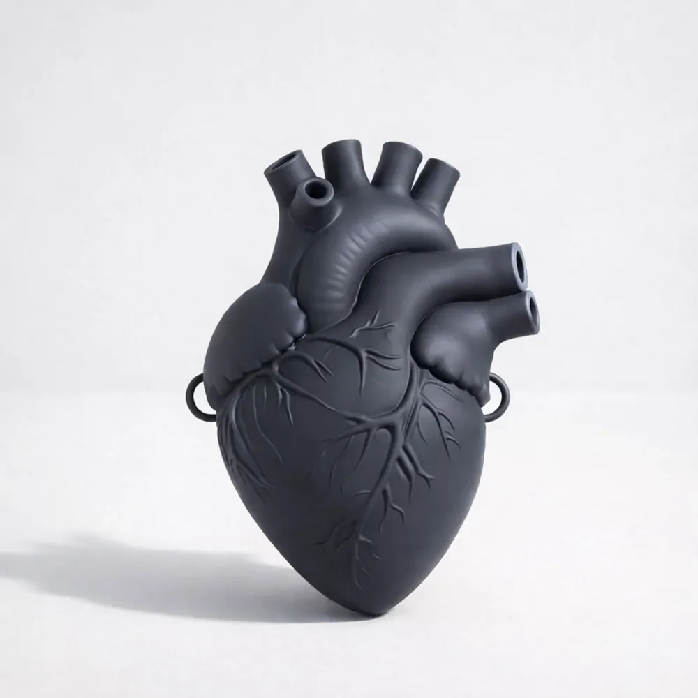 Bolso Corazón Anatómico, vista 3