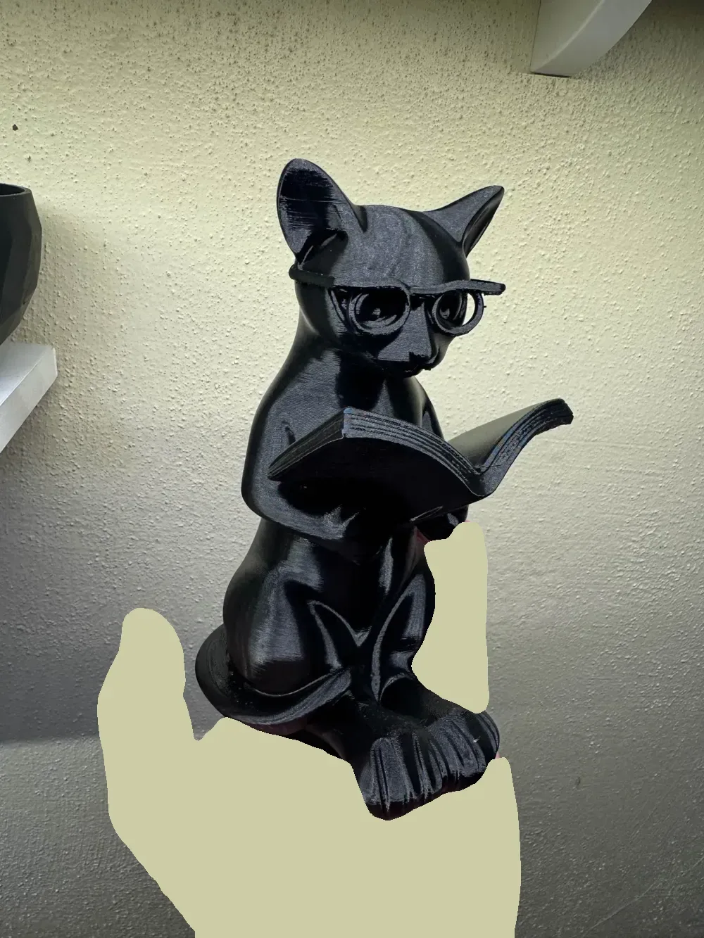 El gato intelectual: el compañero de un amante de los libros, vista 2