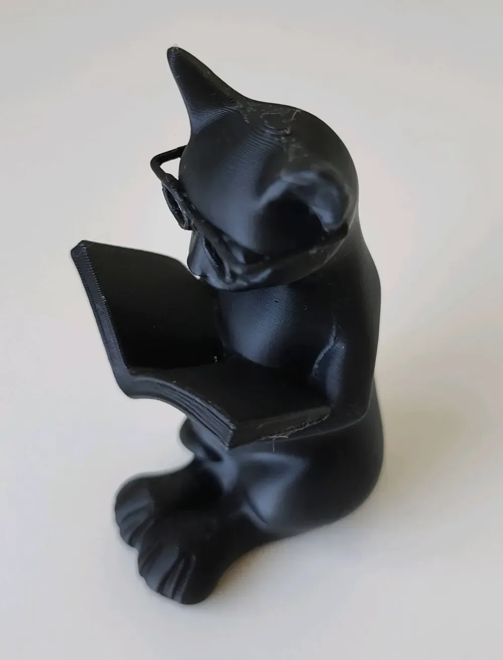 El gato intelectual: el compañero de un amante de los libros, vista 3