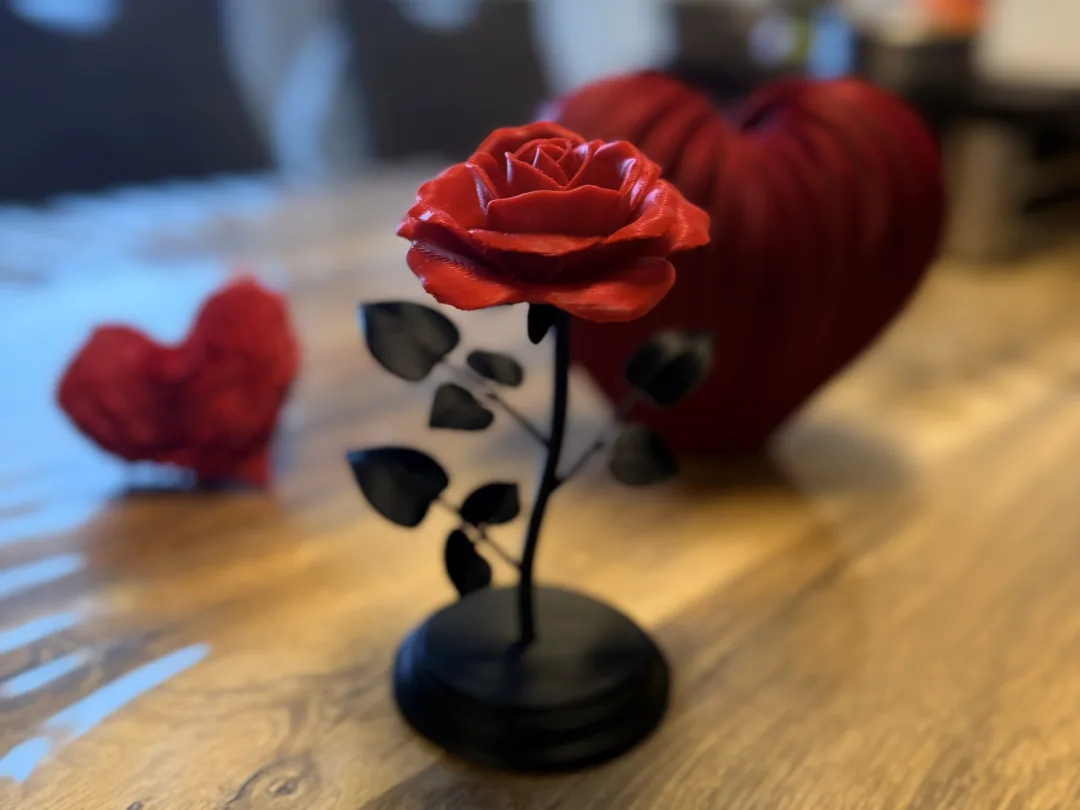 Rosa con soporte, vista 1