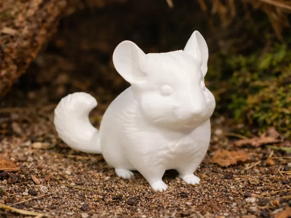 Chinchilla - Animal - Linda, vista 1