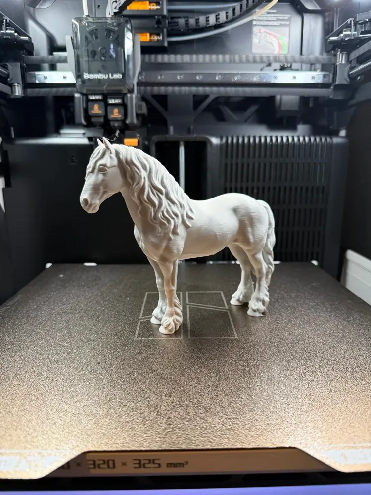 Caballo, vista 3