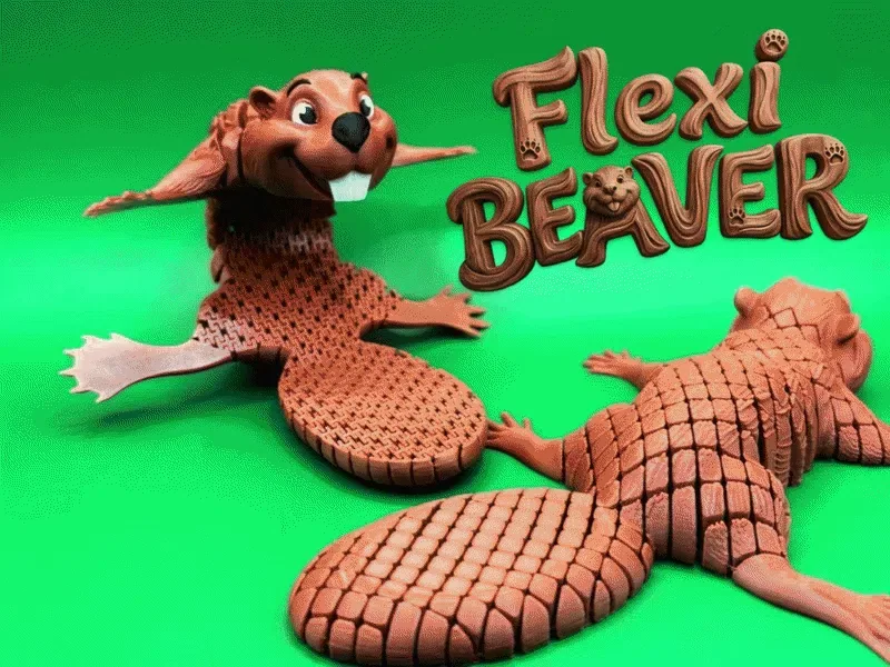 Castor flexible, vista 1