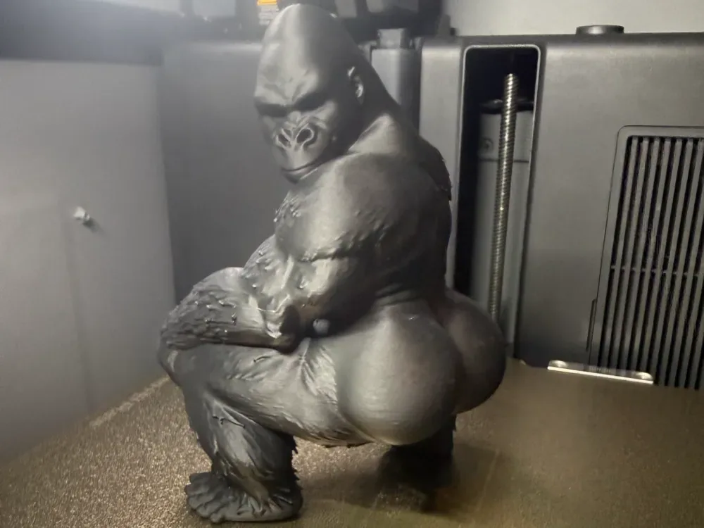 Thicc Gorila Twerking, vista 1