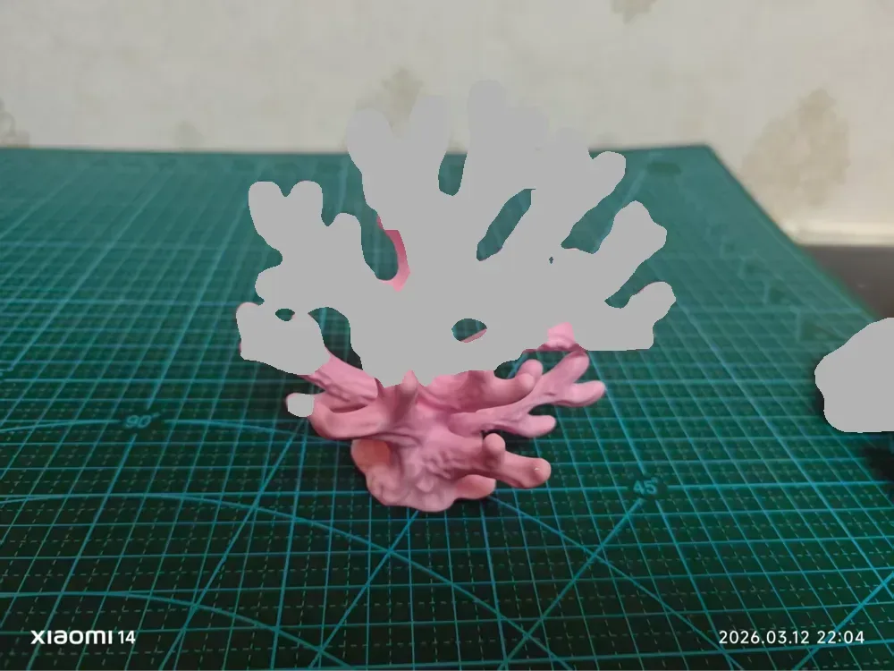 Coral, vista 1