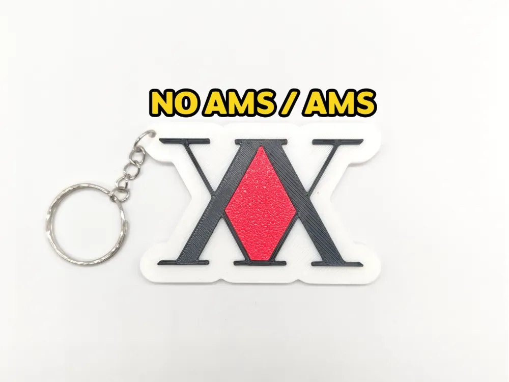 XX Llavero con el logotipo de Hunter x Hunter (NO AMS/AMS), vista 1