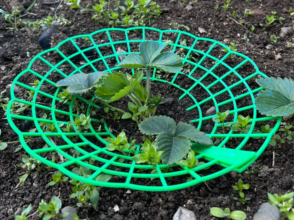 Soporte para plantas de fresa – Impresión 3D sencilla, vista 1