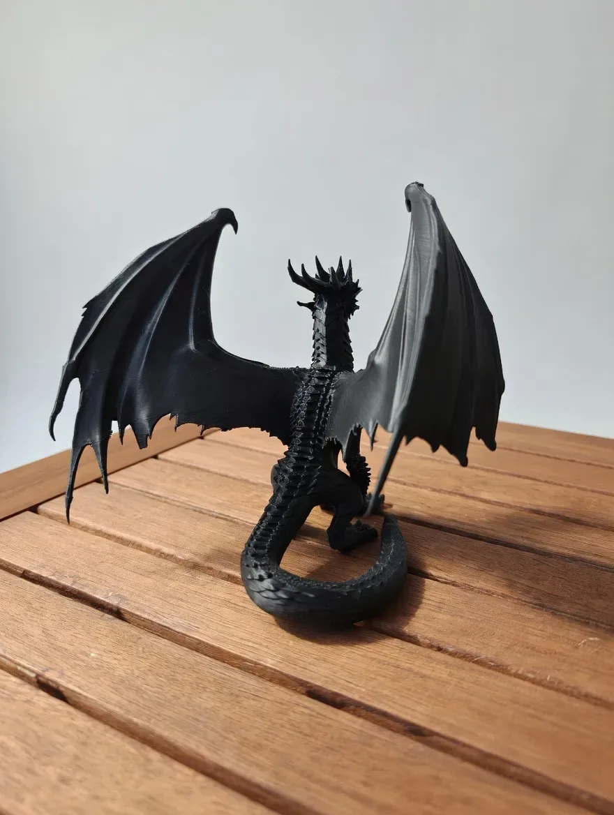 Dragón Negro, vista 3
