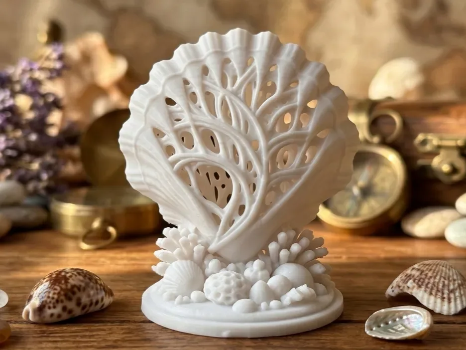 Elegancia oceánica: la concha de coral de filigrana, vista 1