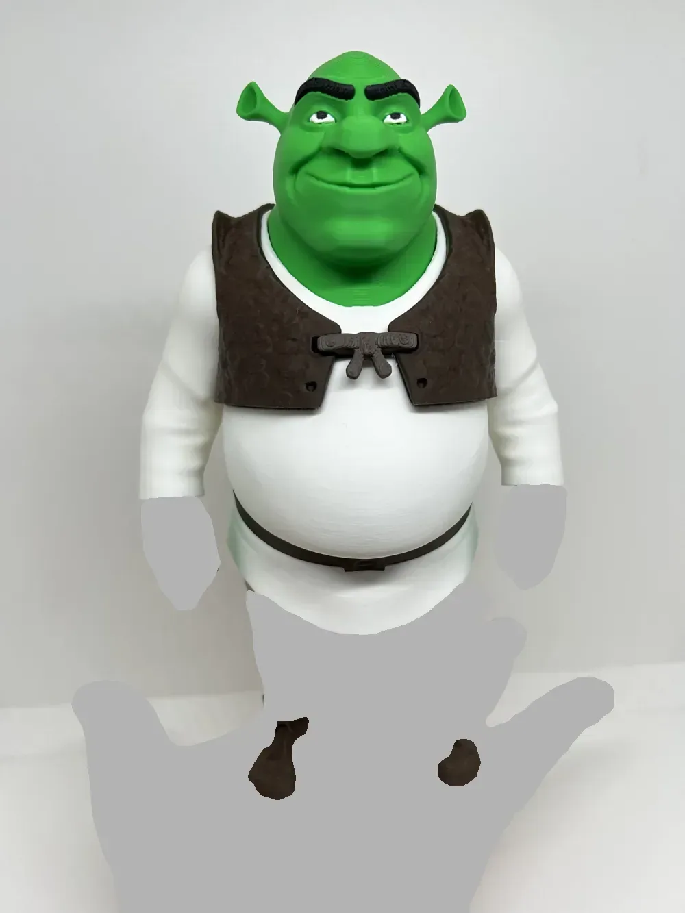 Shrek - Sin AMS, vista 2