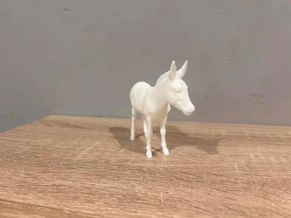 Burro - Burro - Animal - Decoración, vista 3