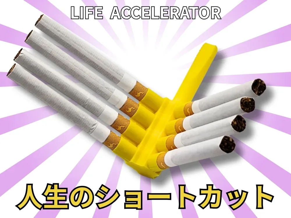 Acelerador de vida V8, vista 1