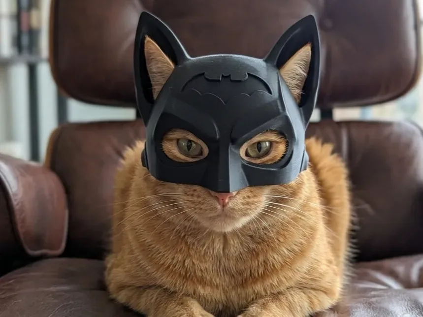 ¡El mejor casco de gato Batman de todos los tiempos!, vista 1
