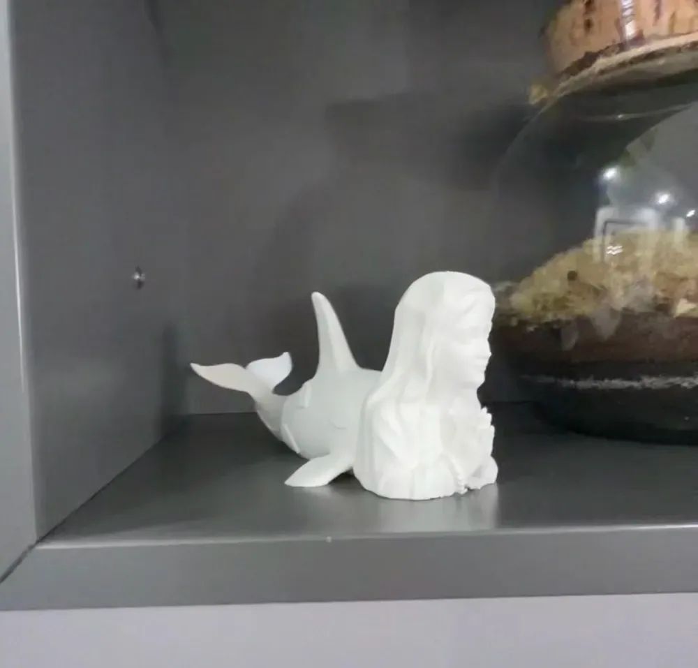 Orca Virgen Orcamadonna, vista 2