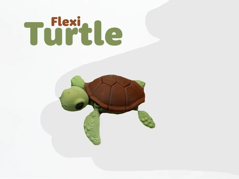 Tortuga flexible, vista 1