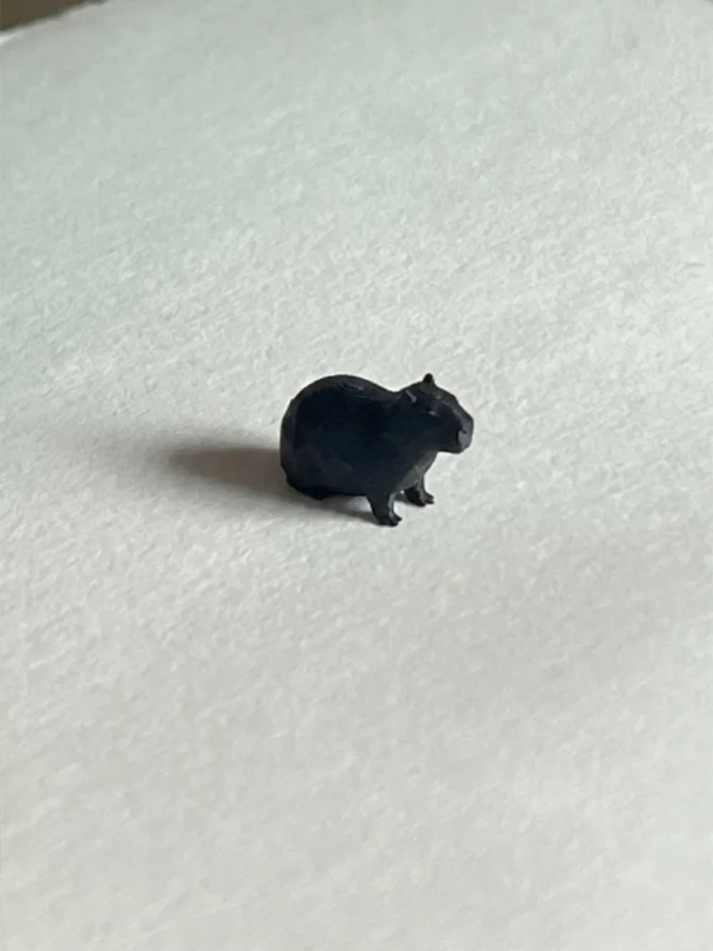 El capibara más pequeño del mundo (Boquilla 0.4), vista 2