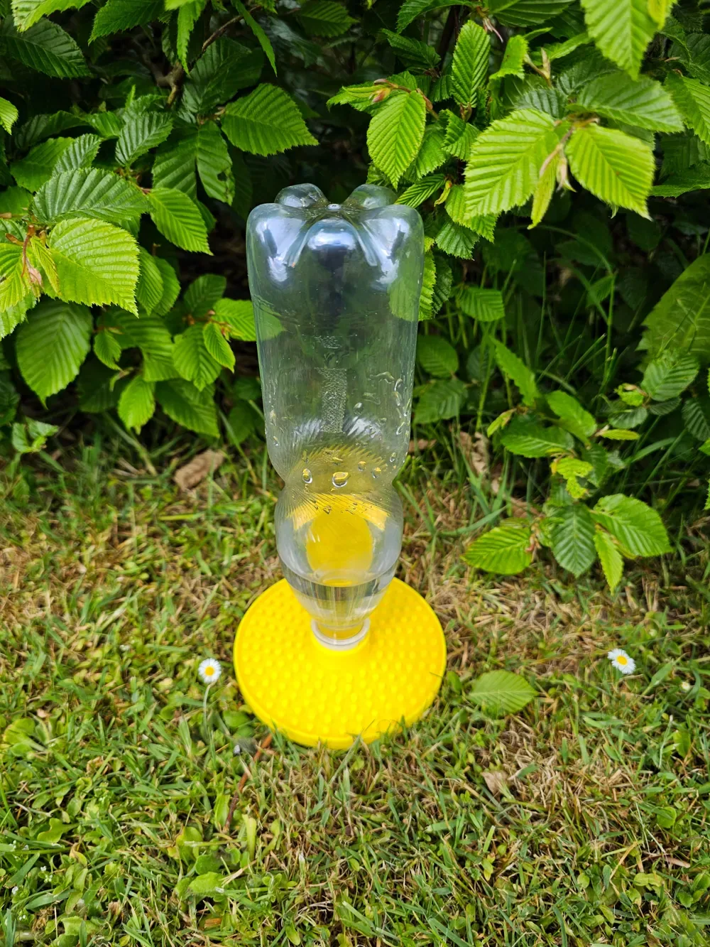 Bebedero para abejas: simple estación de agua embotellada para abejas, vista 3