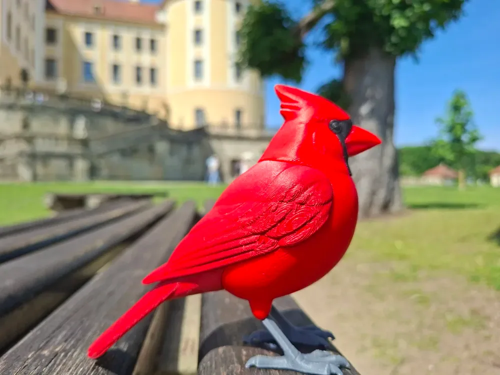 Pájaro cardenal norteño realista de tamaño natural, vista 2