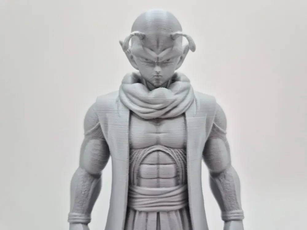 Dragon Ball Nilo, vista 2