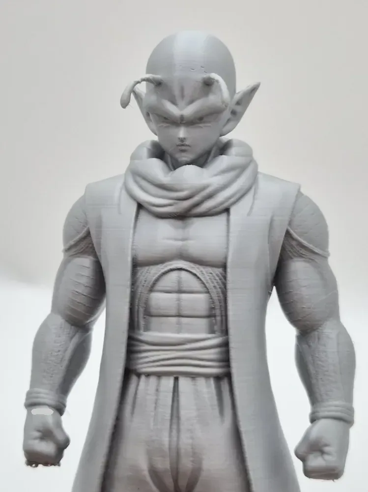 Dragon Ball Nilo, vista 3