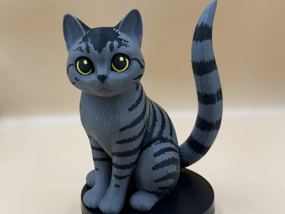 Gatito raya lunar, vista 1