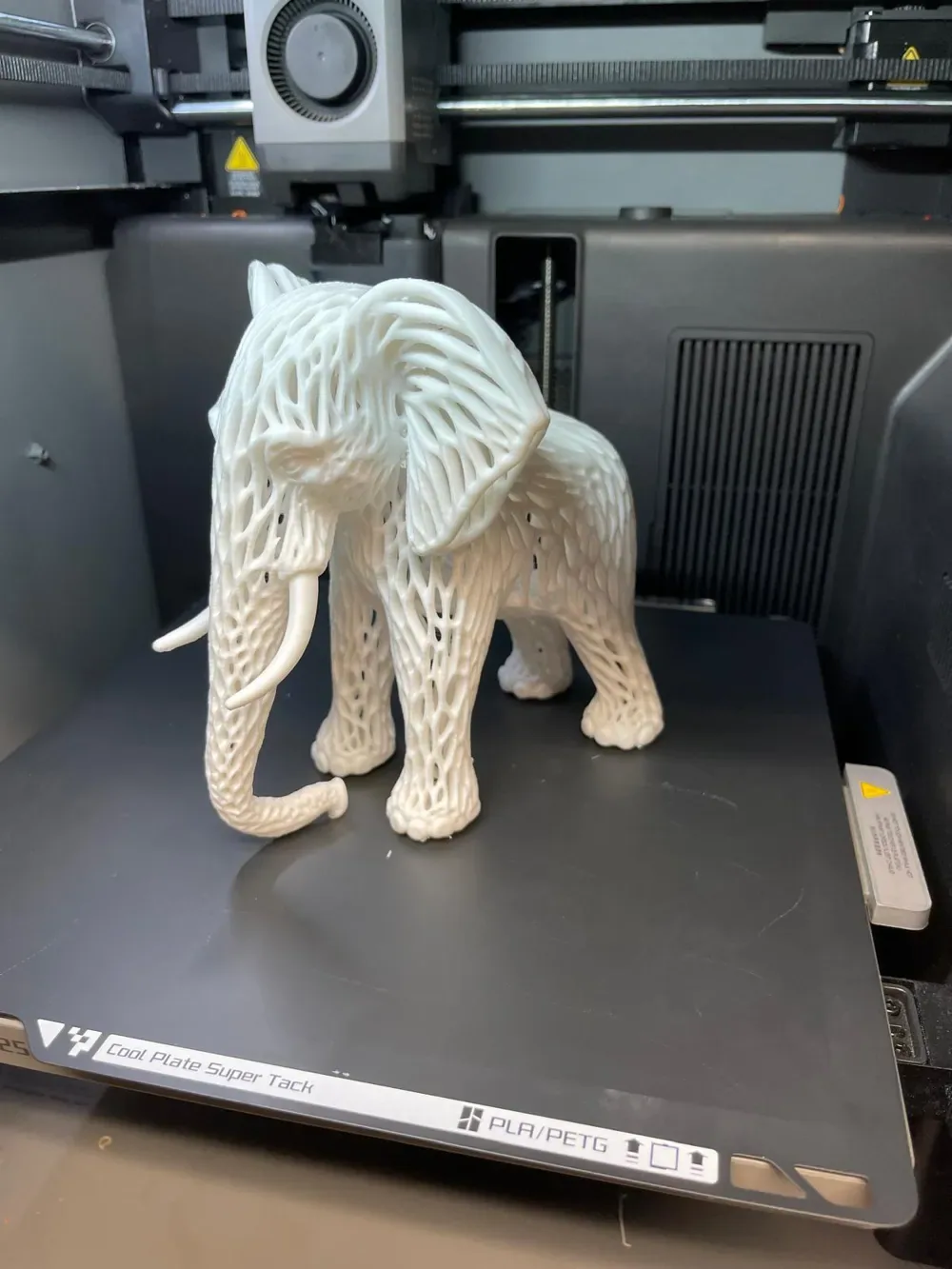 Elefante,no, vista 3