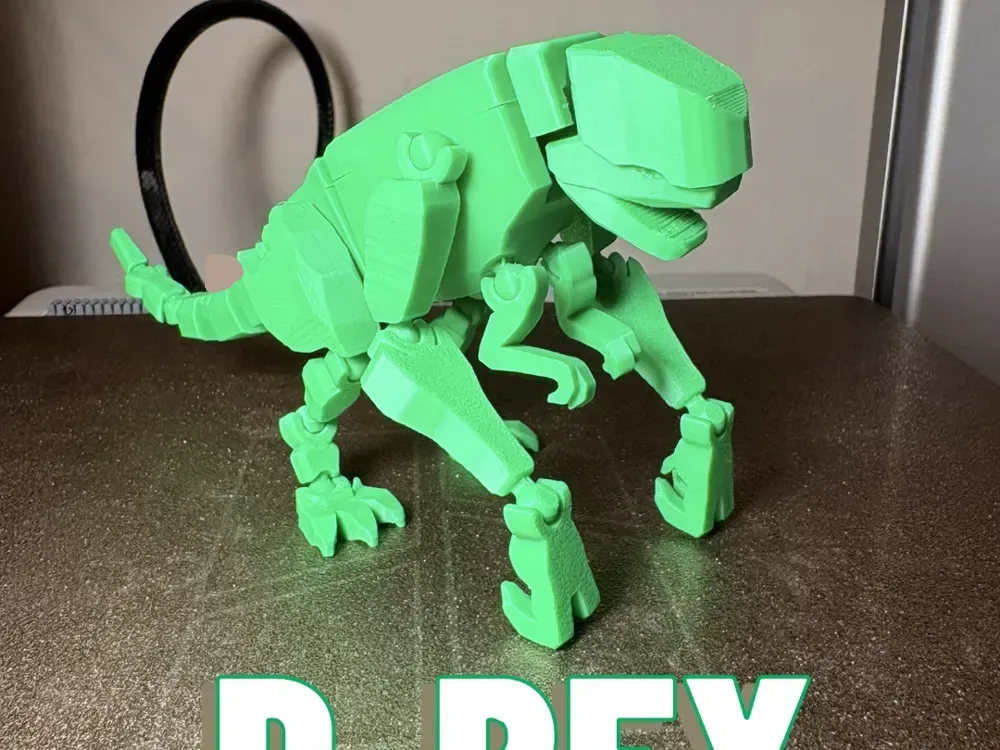 D-REX, vista 1