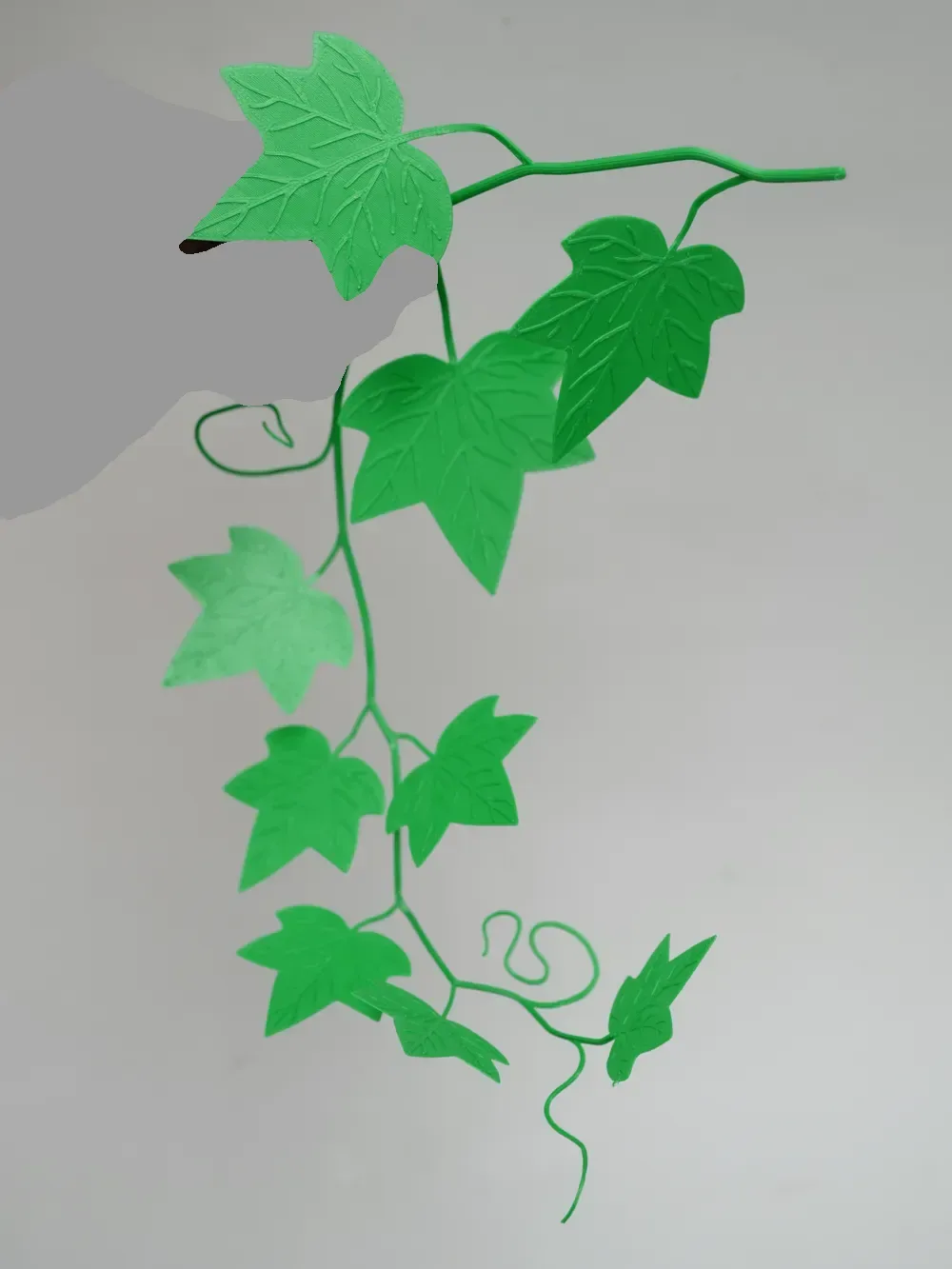 Rama decorativa de vid de hiedra | Impresión 3D plana rápida, vista 3