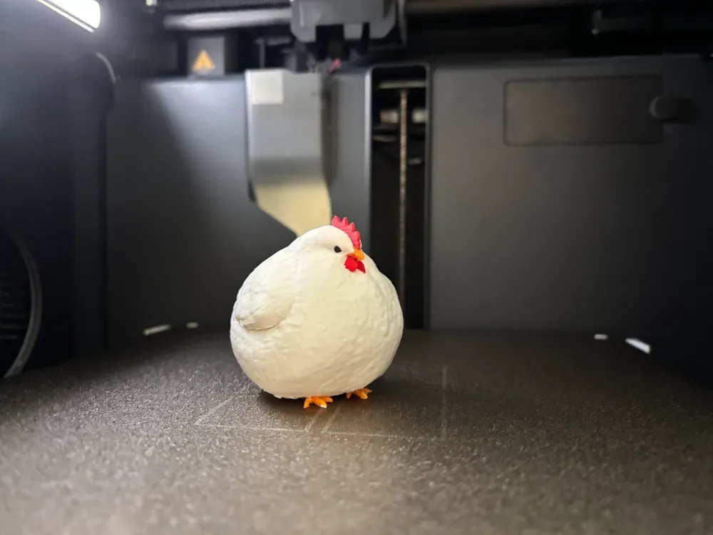 Pollo GRASO, vista 1