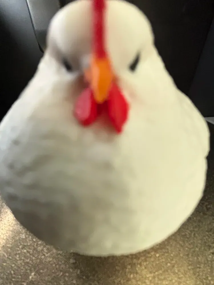 Pollo GRASO, vista 2