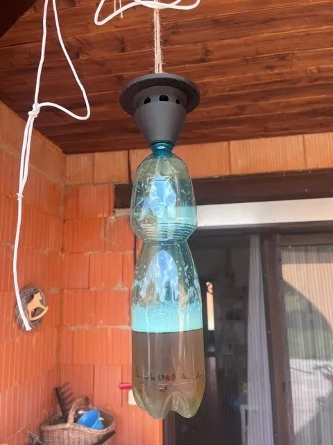 Trampa para avispas estilo chino: decorativa y funcional, vista 3