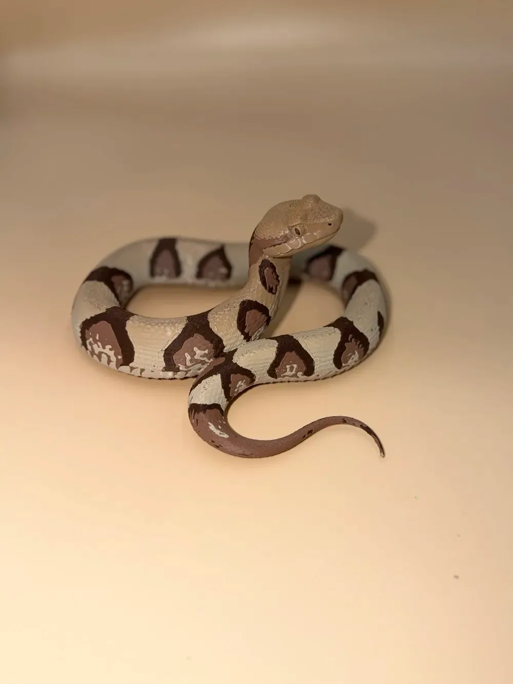 Serpiente cabeza de cobre, vista 2