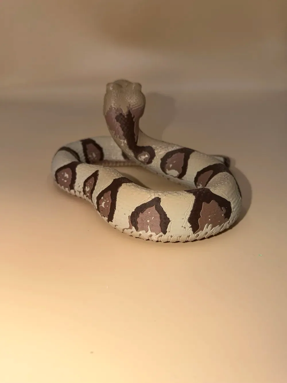 Serpiente cabeza de cobre, vista 3