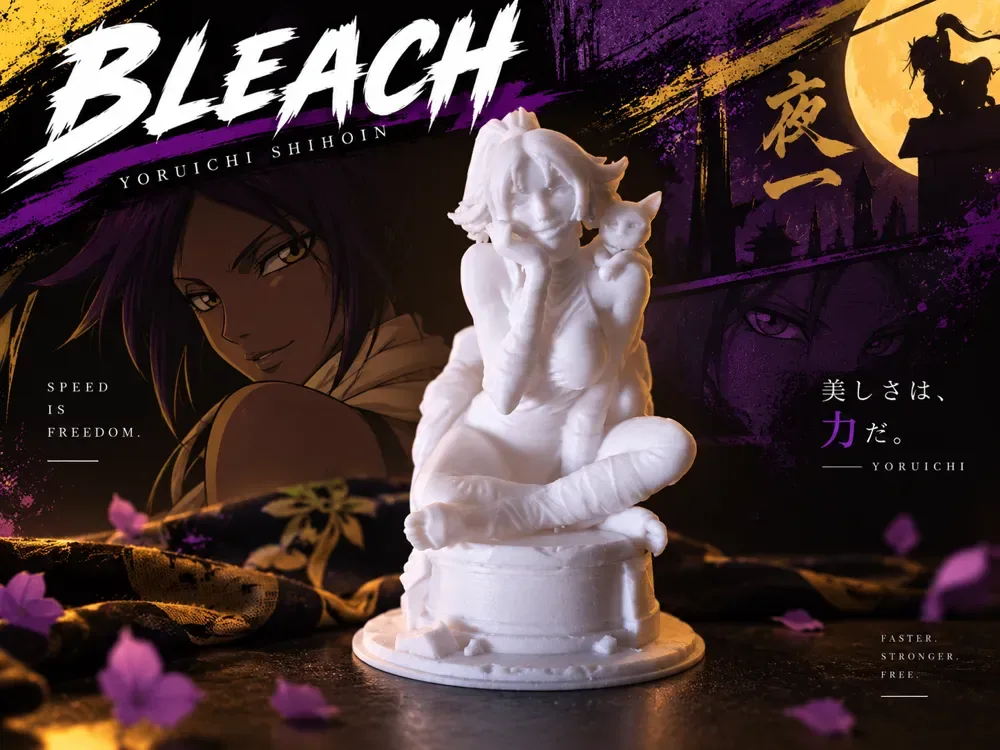 Yoruichi - Gato - Diosa Flash, vista 1