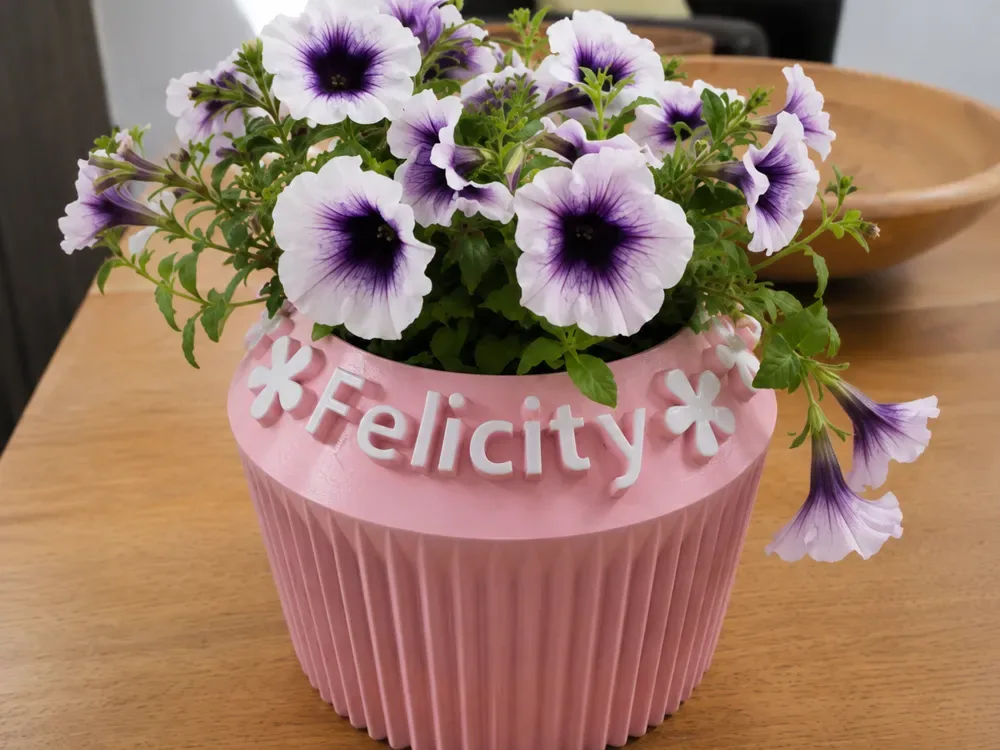 Maceta Felicity, vista 1