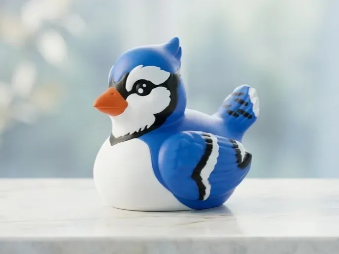 Pato arrendajo azul, pato pajarito, pato jeep de crucero, vista 1