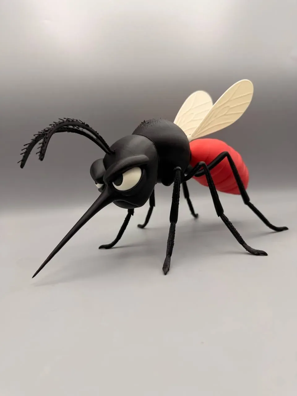 Mosquito gruñón, vista 2