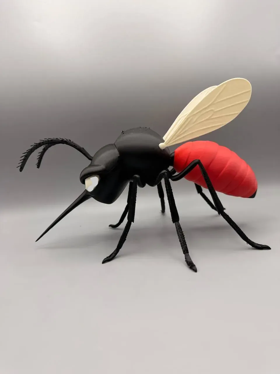 Mosquito gruñón, vista 3