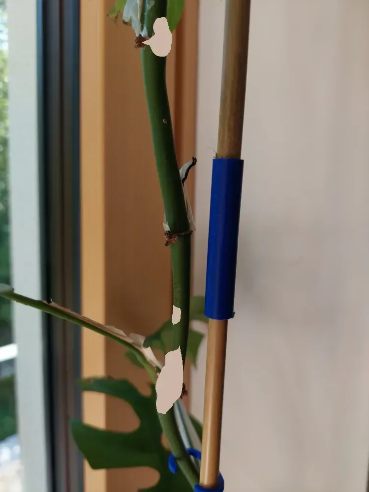 Conector de varilla para plantas para impresión 3D, vista 2