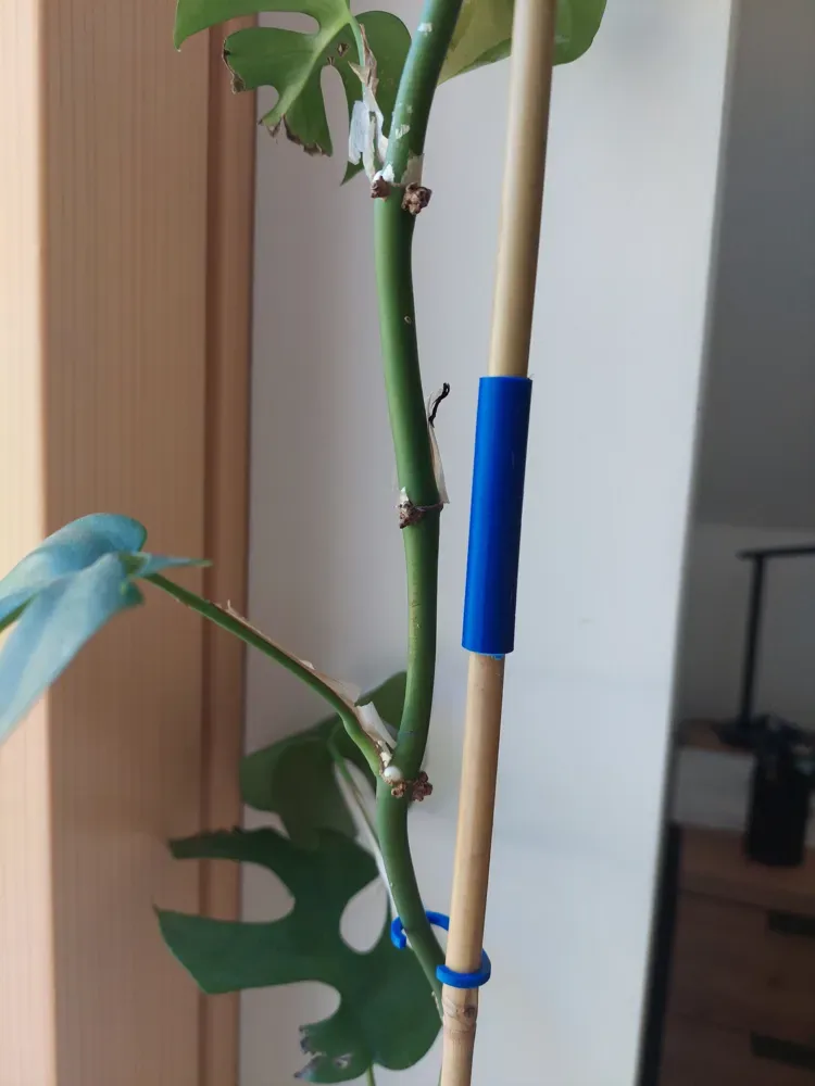 Conector de varilla para plantas para impresión 3D, vista 3