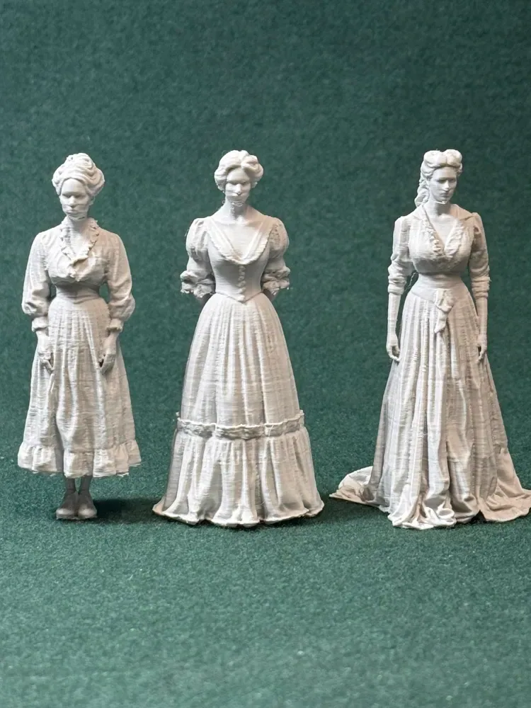 Década de 1880 7 mujeres americanas de clase alta VEH-AMRM-0016, vista 2