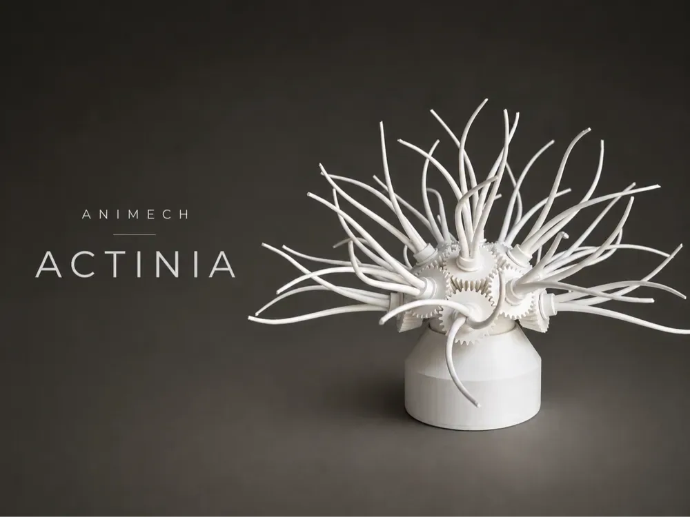 ANIMECH Actinia - Anémona de engranaje cinético, vista 1
