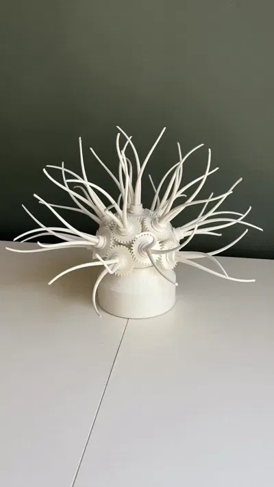 ANIMECH Actinia - Anémona de engranaje cinético, vista 2